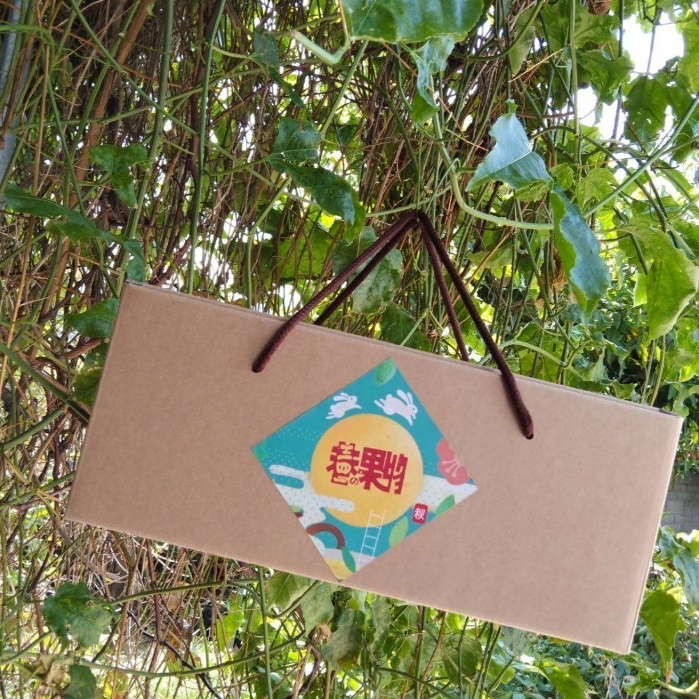 禮盒組~花果茶包3罐裝禮盒組-細節圖3