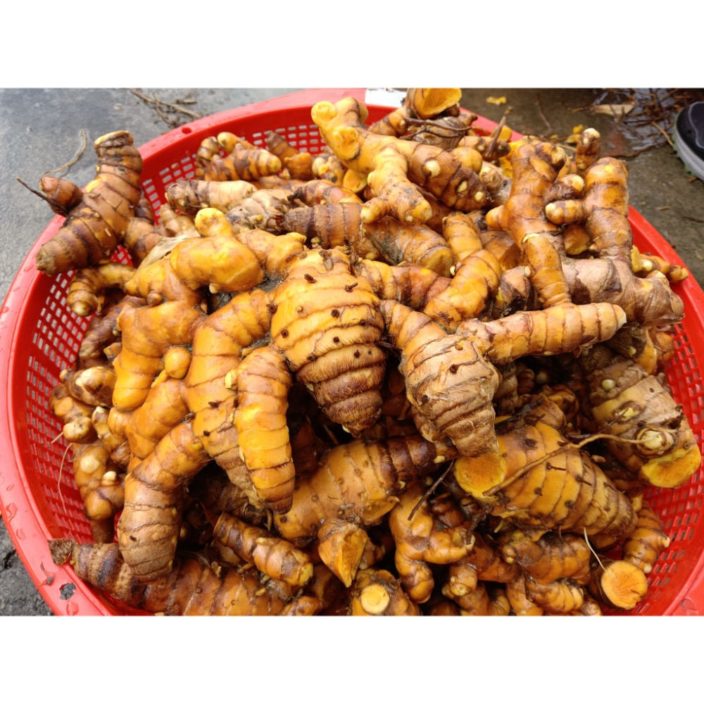 薑黃粉（120g)-細節圖2