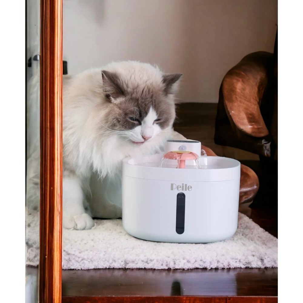 Peile幸運草7智能飲水機7-細節圖3
