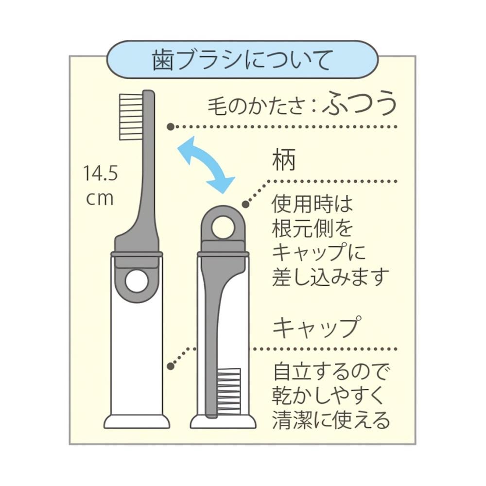 攜帶式牙刷-細節圖4