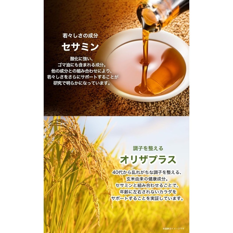 🇯🇵 預購商品-Suntory 三得利 芝麻明EX-細節圖5