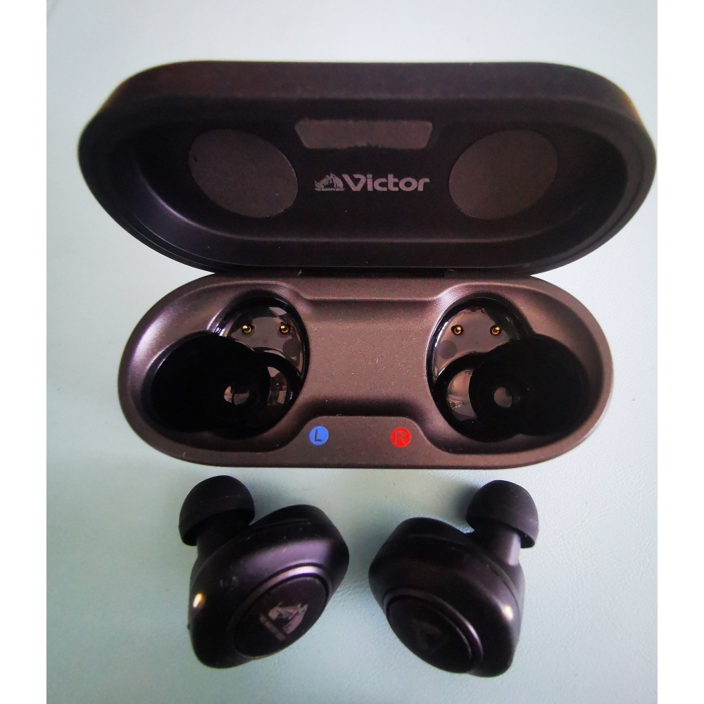 JVC HA-FW1000T 木振膜(傳說中，真無線耳機音質的天花板)(台灣現貨)-細節圖3