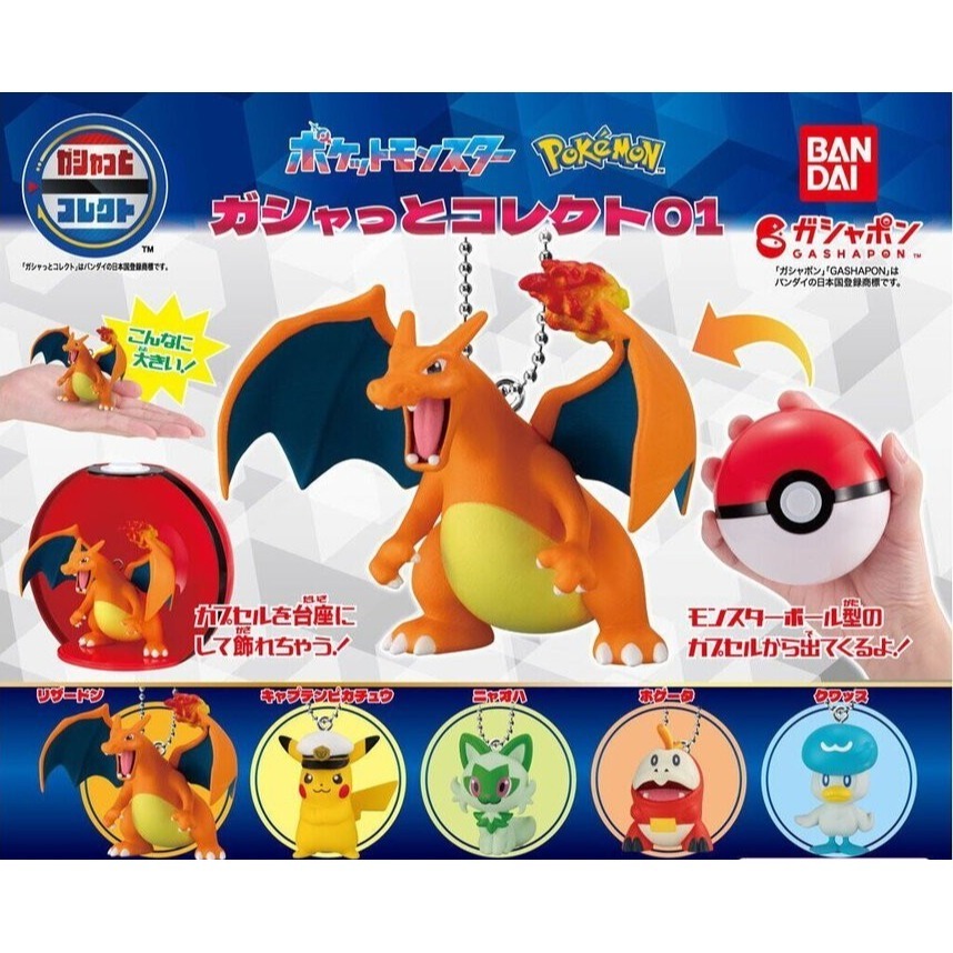 BANDAI 萬代 寶可夢寶貝球公仔P1 共5款 扭蛋 轉蛋 公仔 盒玩-細節圖2