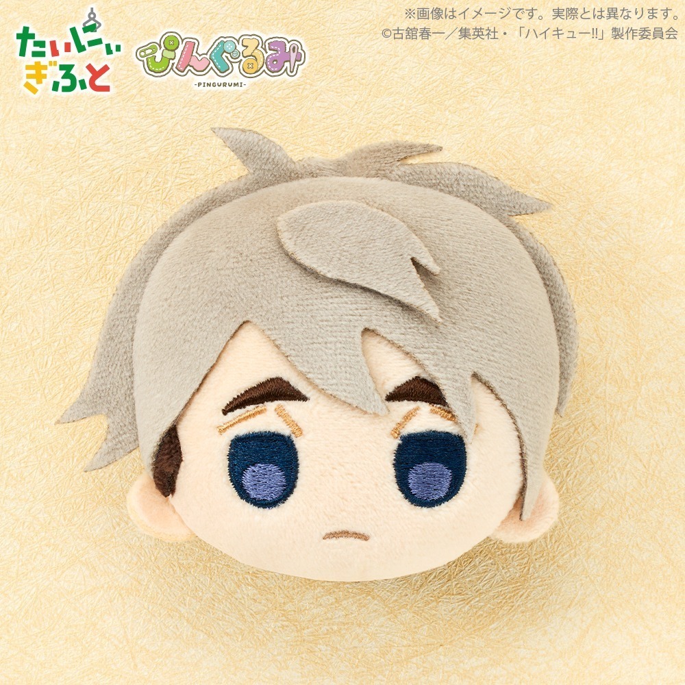 BUSHIROAD PRIZE 排球少年絨毛徽章P2 共5款 日版 可挑款 盒玩 景品-細節圖6