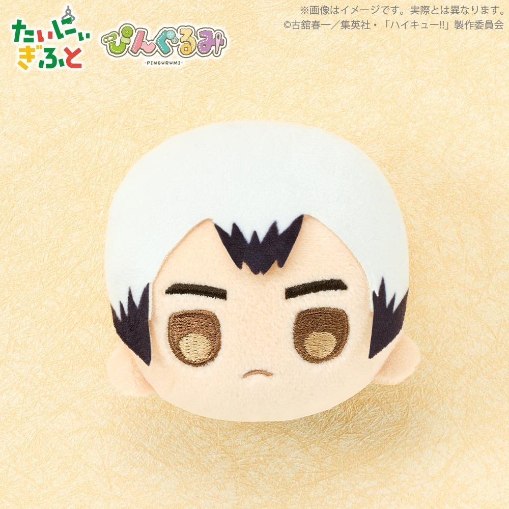 BUSHIROAD PRIZE 排球少年絨毛徽章P2 共5款 日版 可挑款 盒玩 景品-細節圖7