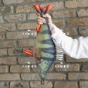 鱸魚45cm 853252