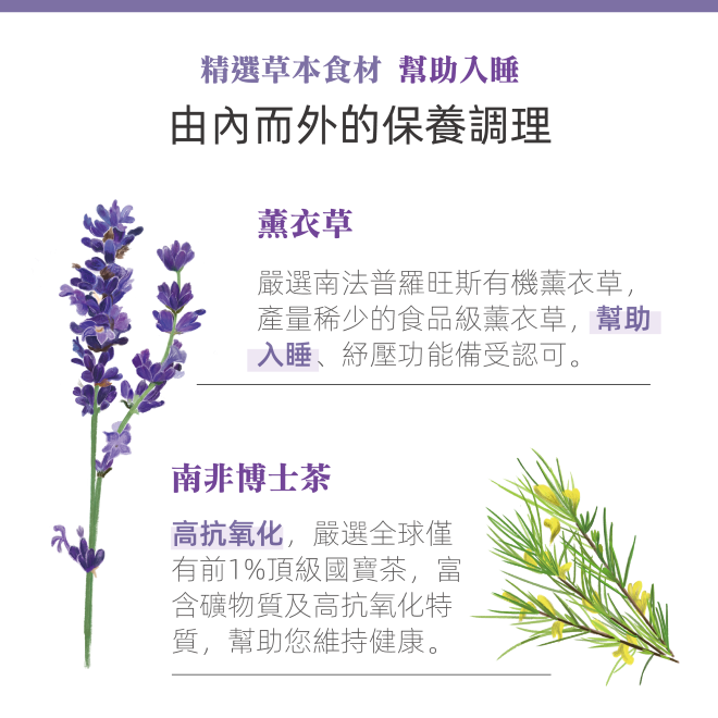 Yumthe 漾草方 薰衣草甜睡茶 2.0g x 15茶包/盒  無咖啡因-細節圖4