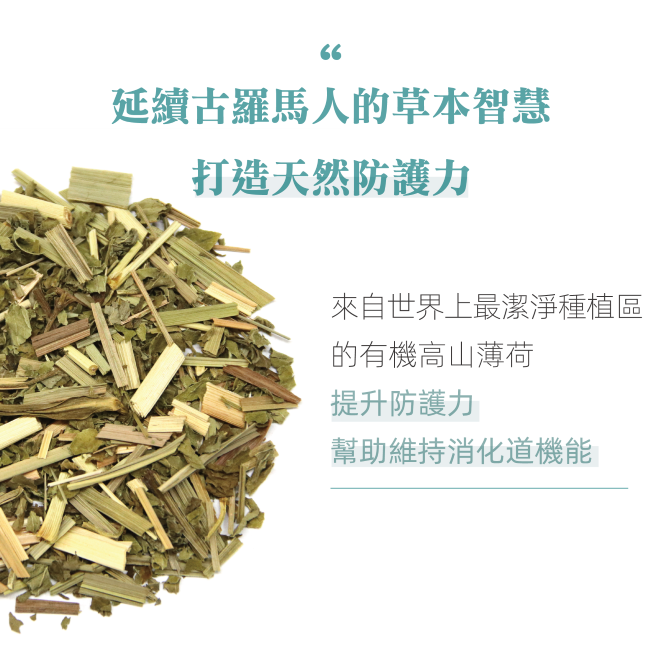 Yumthe 漾草方 薄荷檸檬草清新茶 1.5g x 15茶包/盒 無咖啡因 口氣芬芳-細節圖3