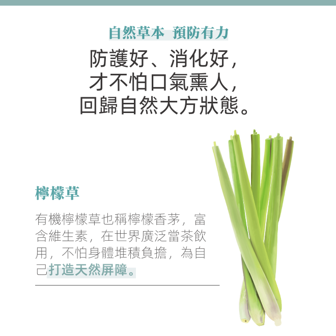 Yumthe 漾草方 薄荷檸檬草清新茶 1.5g x 15茶包/盒 無咖啡因 口氣芬芳-細節圖4