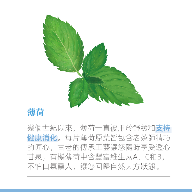Yumthe 漾草方 薄荷檸檬草清新茶 1.5g x 15茶包/盒 無咖啡因 口氣芬芳-細節圖5