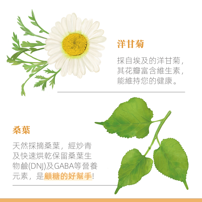 Yumthe 漾草方 脈輪瑪黛洋甘菊茶 2.5g x 15茶包/盒 促進新陳代謝 緩解負擔-細節圖4