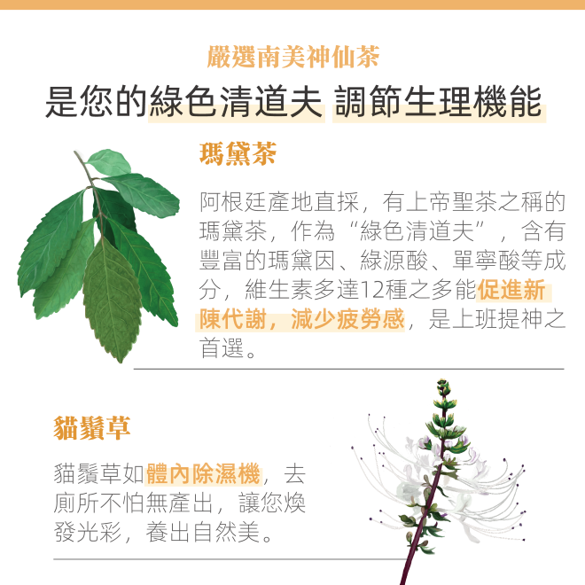 Yumthe 漾草方 脈輪瑪黛洋甘菊茶 2.5g x 15茶包/盒 促進新陳代謝 緩解負擔-細節圖5