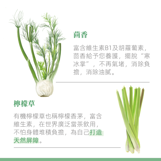 Yumthe 漾草方 美人薑茶 2.5g x 15茶包/盒 無咖啡因 緩解冰冷-細節圖5