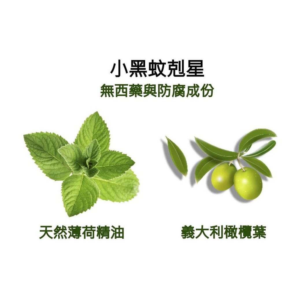 獅牌 小黑蚊剋星 清涼乳膏（15g） 效期最新 台灣製造 小黑蚊 小黑蚊清涼乳膏 小黑蚊防蚊液 登山 露營 戶外活動-細節圖4