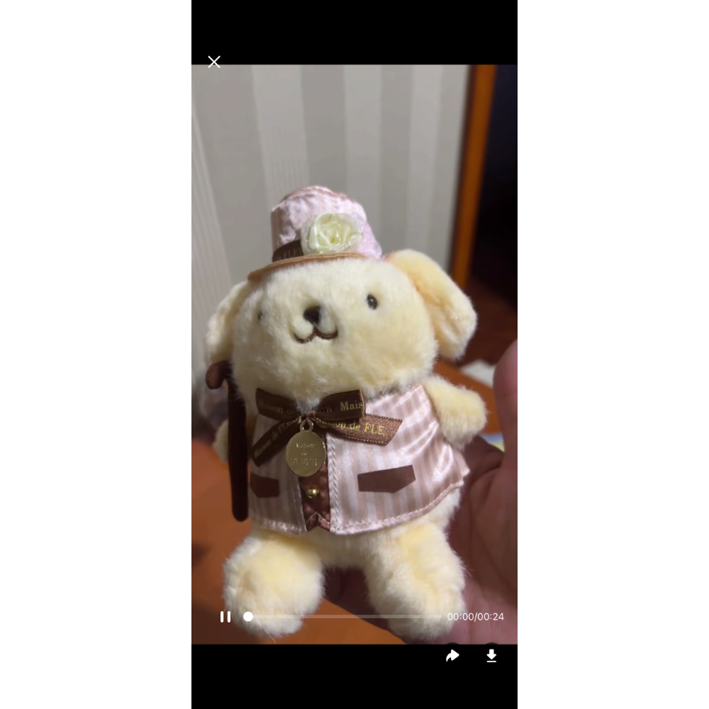 橘子+蕃茄+醫生+行李+老鼠+幸運草+廚師+王冠2000-細節圖5