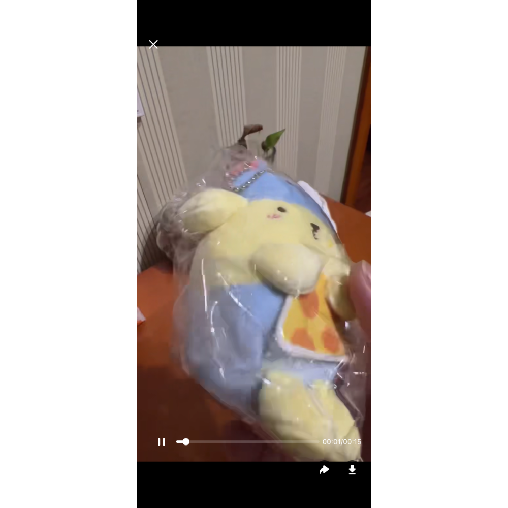 橘子+蕃茄+醫生+行李+老鼠+幸運草+廚師+王冠2000-細節圖6