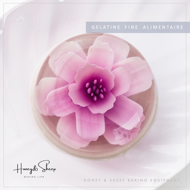 小羊尋蜜 德國超鑽 吉利丁 超讚吉利丁片 永詮 吉利丁片 果凍凝固材料 奶酪食材 果凍 Gelatine 即溶即用-細節圖6