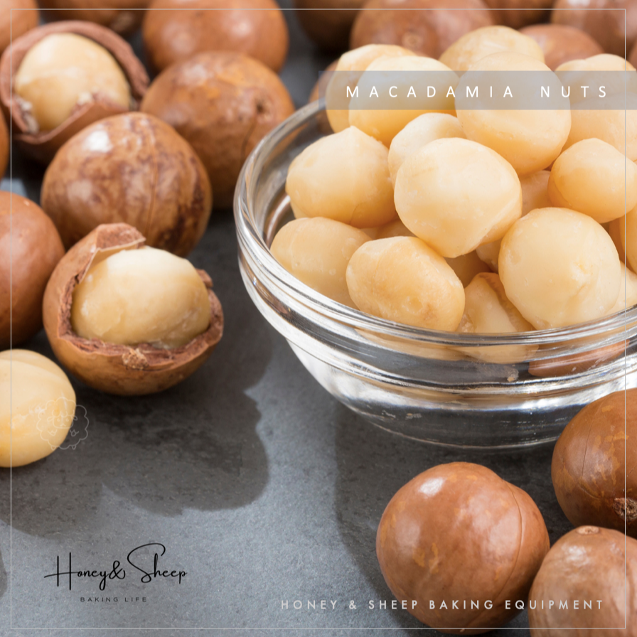 小羊尋蜜 夏威夷果 澳洲夏威夷果4號 生 半粒 夏威夷豆 生夏威夷豆 火山豆 夏威夷果仁 果乾 堅果 烘焙材料-細節圖3