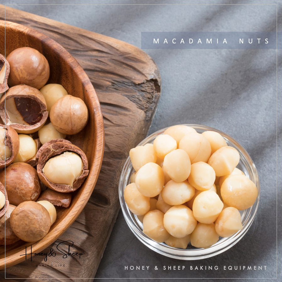 小羊尋蜜 夏威夷果 澳洲夏威夷果4號 生 半粒 夏威夷豆 生夏威夷豆 火山豆 夏威夷果仁 果乾 堅果 烘焙材料-細節圖4