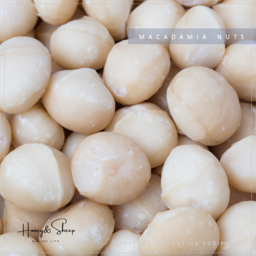 小羊尋蜜 夏威夷果 澳洲夏威夷果4號 生 半粒 夏威夷豆 生夏威夷豆 火山豆 夏威夷果仁 果乾 堅果 烘焙材料-細節圖5