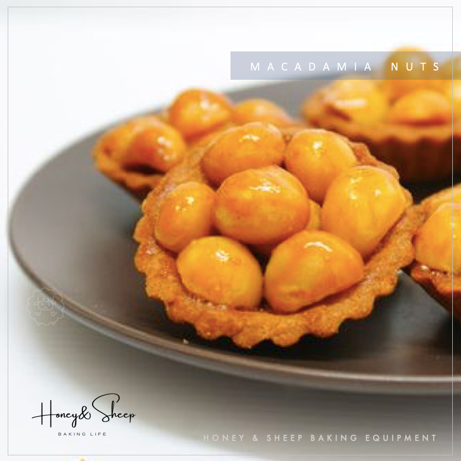 小羊尋蜜 夏威夷果 澳洲夏威夷果4號 生 半粒 夏威夷豆 生夏威夷豆 火山豆 夏威夷果仁 果乾 堅果 烘焙材料-細節圖7