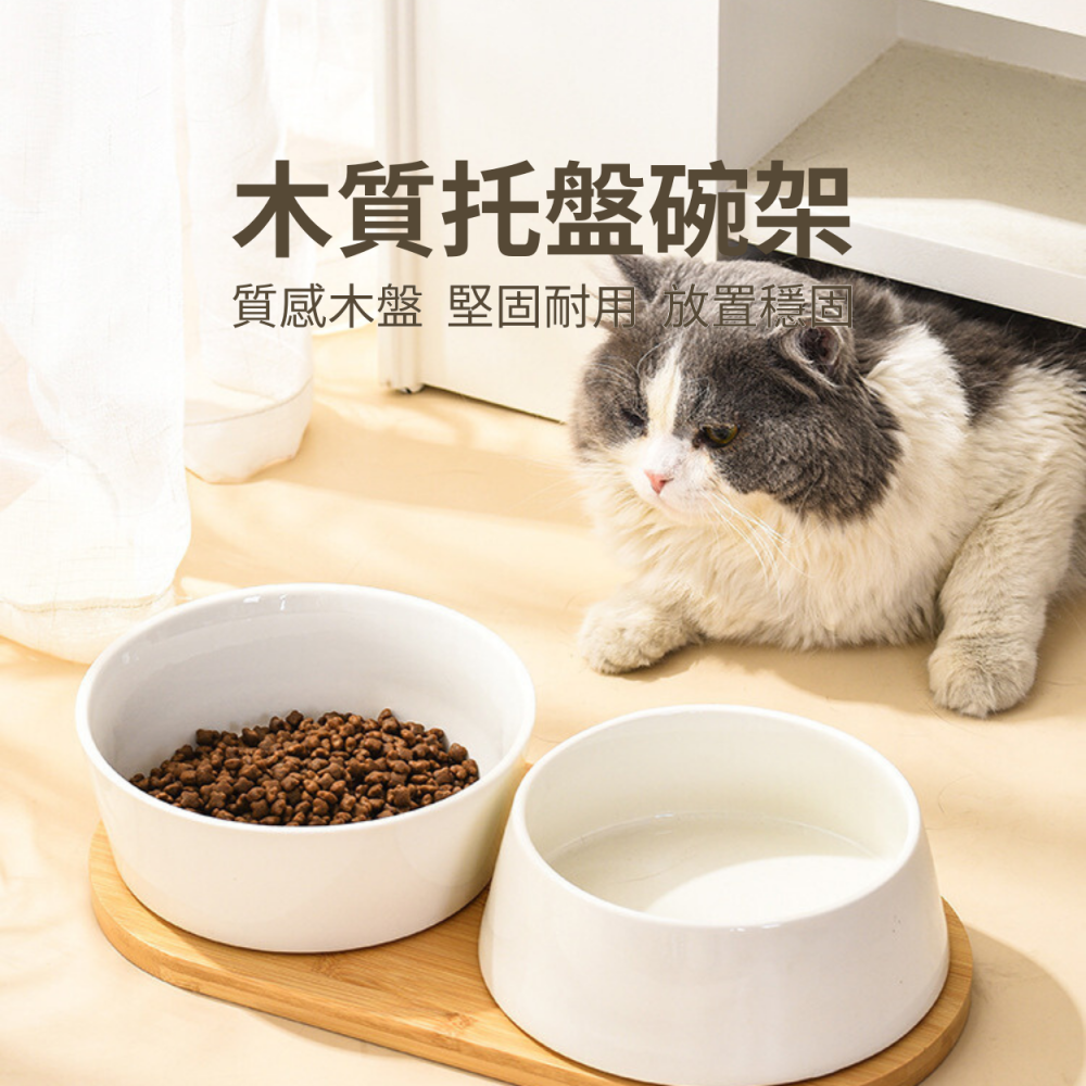 【日式木質寵物碗】陶瓷碗 木質托盤 貓狗碗 防翻倒 日式北歐 設計款-細節圖2