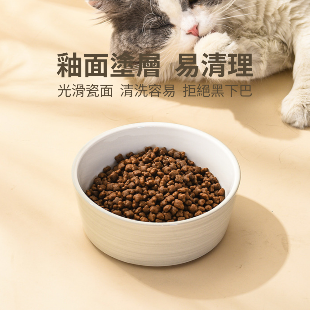 【日式木質寵物碗】陶瓷碗 木質托盤 貓狗碗 防翻倒 日式北歐 設計款-細節圖5