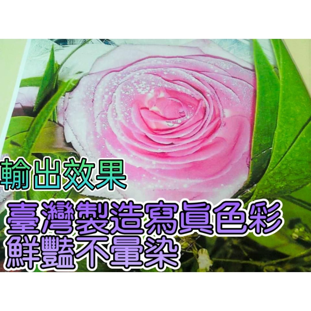 EPSON相容防水100ML墨水4色補充瓶 ｜防水不暈｜高相容不塞頭｜適用連供改機｜印表機專用墨水補充液-細節圖3