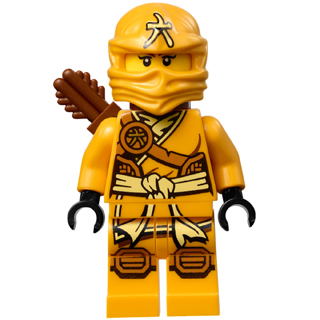 二手 說明必讀 樂高 LEGO 旋風忍者 Ninjago 70746 元素大師 凱樂 Skylor njo135-細節圖5
