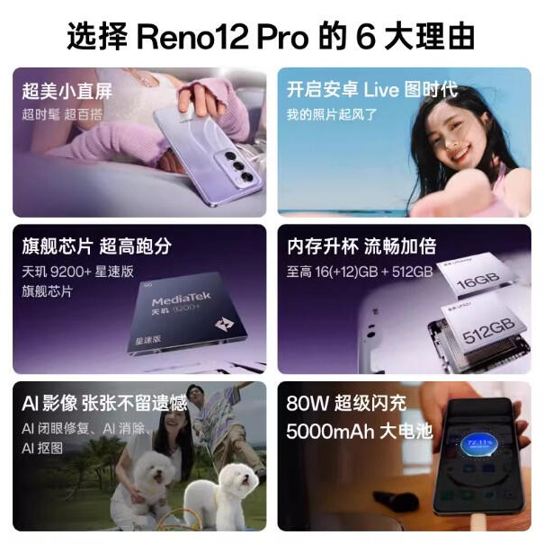 台灣保固｜MOTO_R東北騎士｜OPPO Reno12 Pro 6.7吋120Hz天璣9200+星速 80W 5G手機-細節圖2