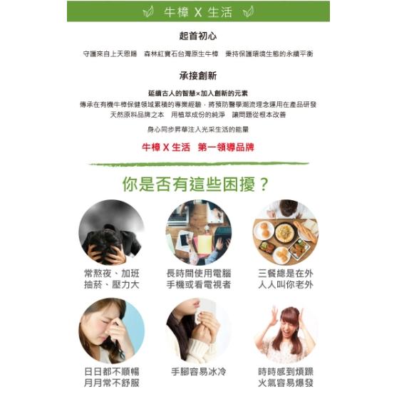 TTX 牛樟生活 樟寶甘 極品牛樟茶 養生茶 茶飲 茶包-細節圖2