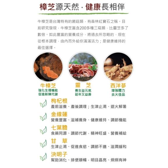 TTX 牛樟生活 樟寶甘 極品牛樟茶 養生茶 茶飲 茶包-細節圖3