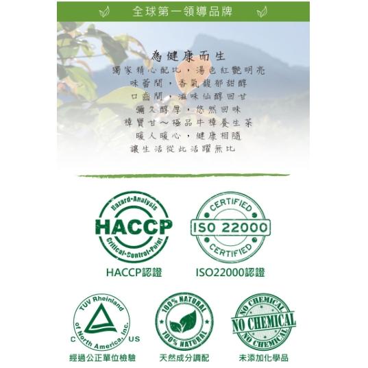 TTX 牛樟生活 樟寶甘 極品牛樟茶 養生茶 茶飲 茶包-細節圖4