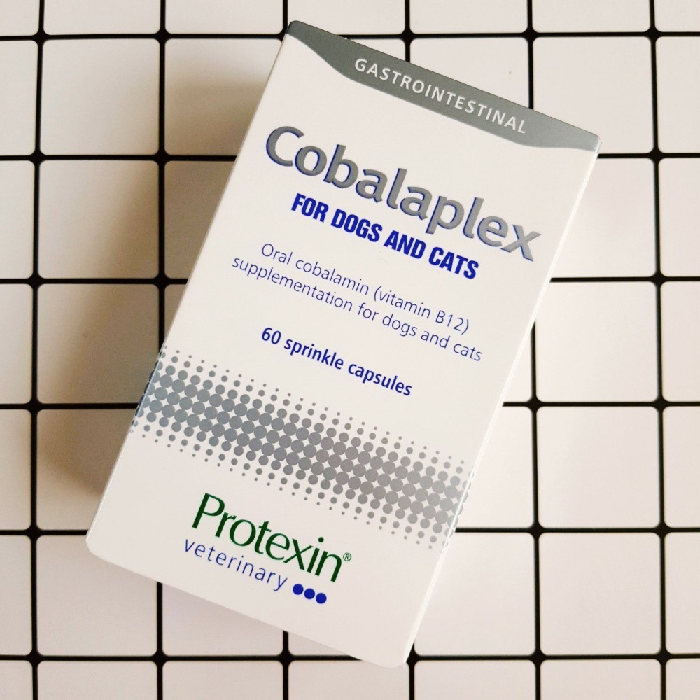 【現貨✅開發票】Protexin Cobalaplex 可萊適 60顆｜ 耳朵捲捲商行-細節圖2