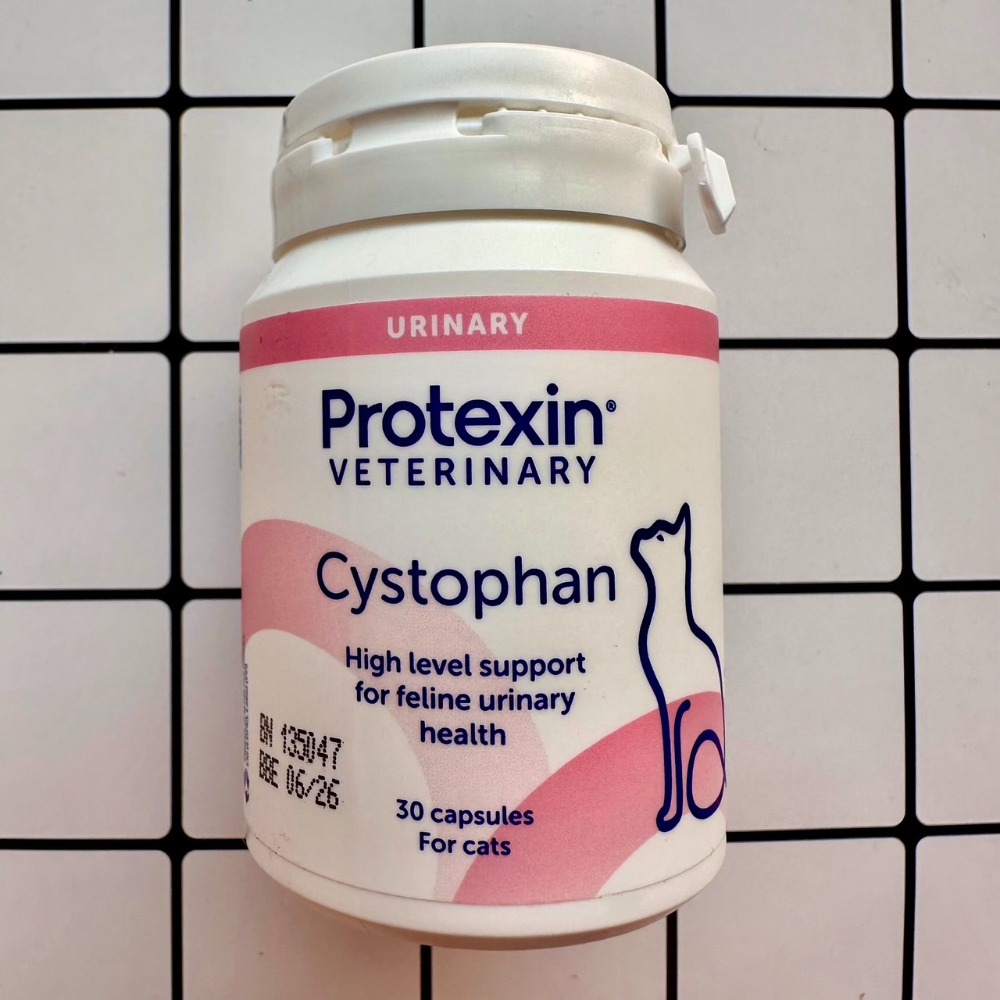 【現貨✅開發票】Protexin Cystophan 安泌利 30顆 ｜ 耳朵捲捲商行-規格圖2