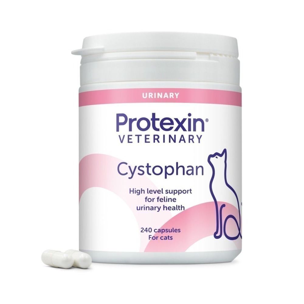 【現貨✅開發票】Protexin Cystophan 安泌利 240顆 ｜ 耳朵捲捲商行-細節圖2