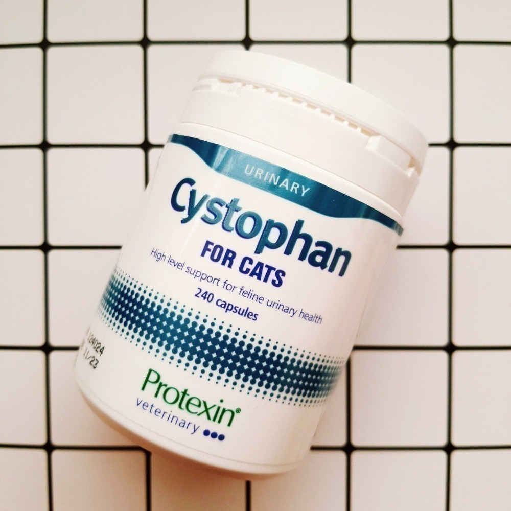 【現貨✅開發票】Protexin Cystophan 安泌利 240顆 ｜ 耳朵捲捲商行-細節圖3