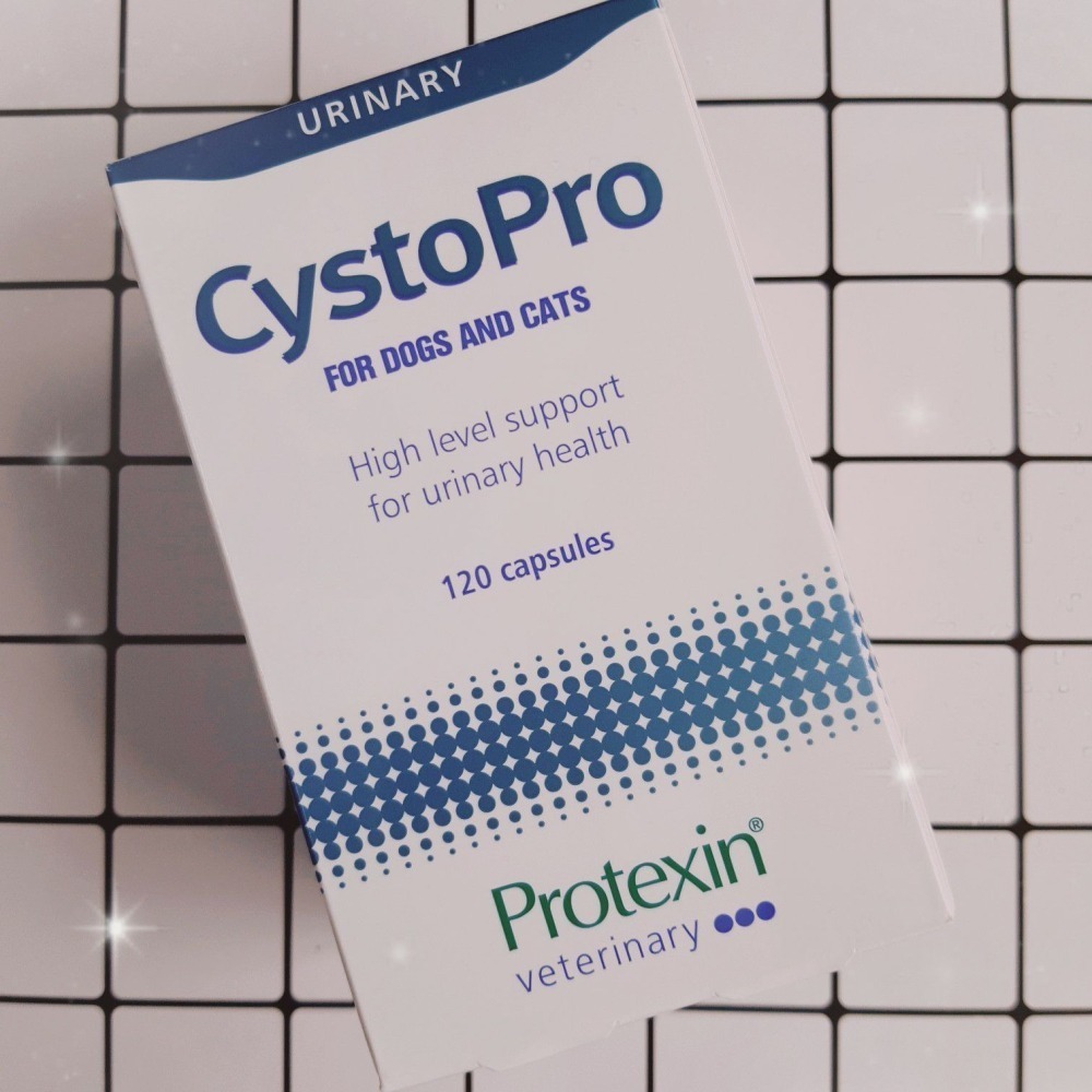 【現貨✅開發票】Protexin Cystopro 蔓泌利 120顆 ｜ 耳朵捲捲商行-細節圖2