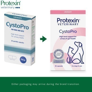 【現貨✅開發票】Protexin Cystopro 犬貓用 泌尿保健 30顆 蔓越莓 NAG-細節圖2