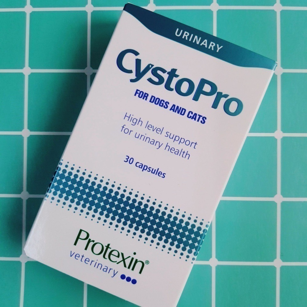 【現貨✅開發票】Protexin Cystopro 犬貓用 泌尿保健 30顆 蔓越莓 NAG-細節圖3