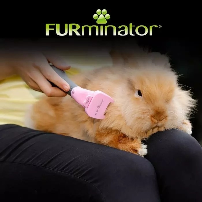 【現貨✅開發票】 FURminator 兔用去毛梳 小動物 毛刷 廢毛梳 梳毛 刷毛-細節圖3