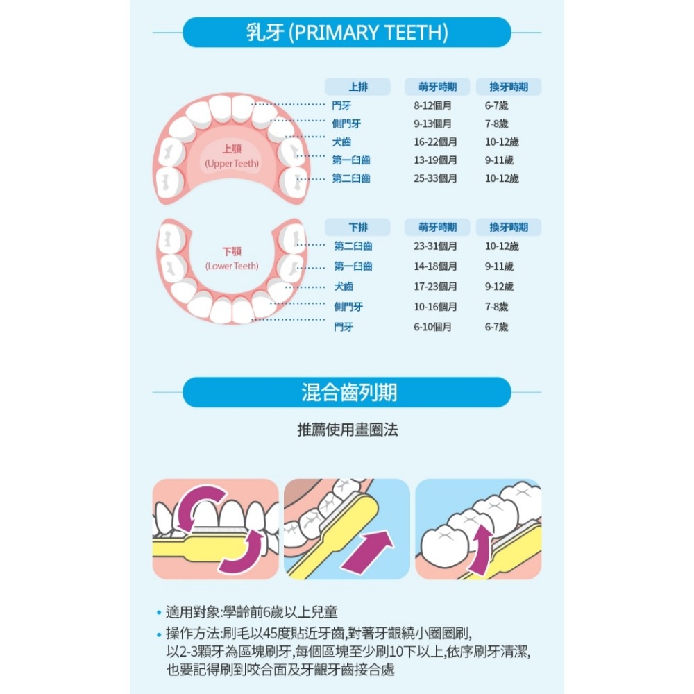 艾多美 兒童牙刷（1組8支 粉/藍/綠/黃各2支）-細節圖6