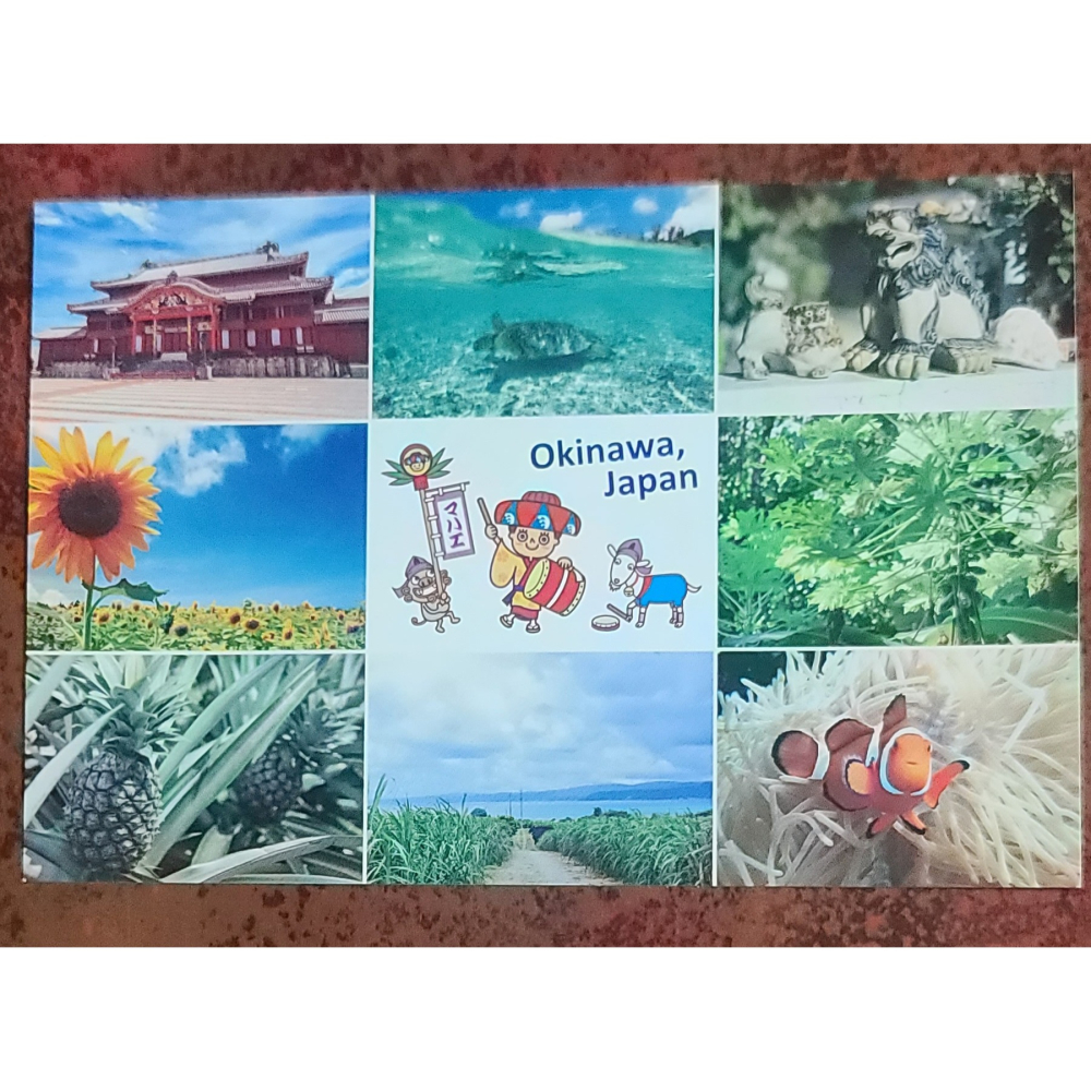 全新   日本   Okinawa   沖繩    明信片   一套5張-細節圖2