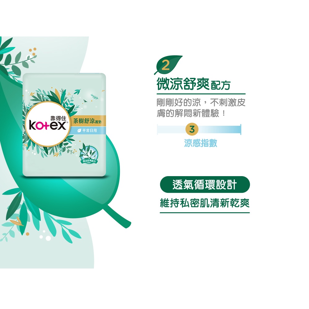 【Kotex 靠得住】茶樹舒涼護墊 涼感護墊 14.5cm/17.5cm 箱購-細節圖4