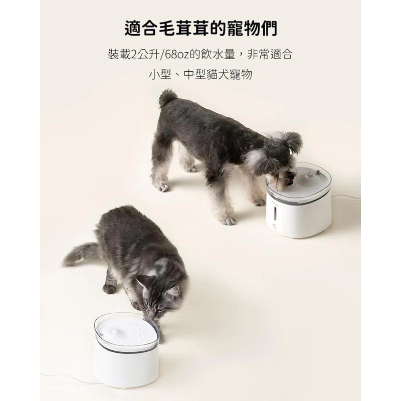 【台灣現貨】貓飲水機 霍曼 自動飲水機寵物 台灣公司貨 寵物飲水機 狗狗飲水機 三代 Homerunpet-細節圖6