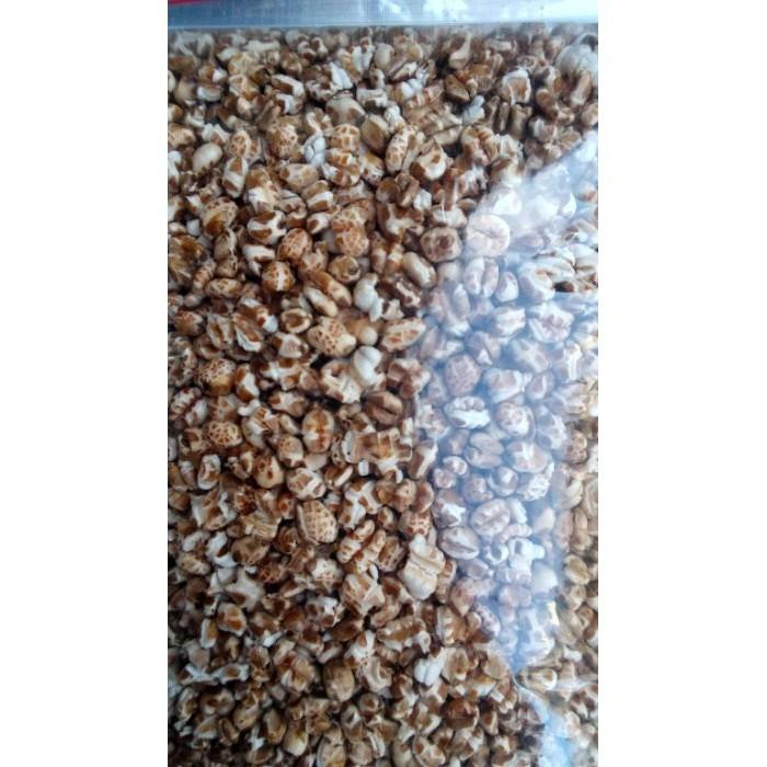 小麥 爆小麥 無糖 無油 無鹽 無添加物 純小麥粒 早餐 副食品 非 燕麥 麥片-細節圖3