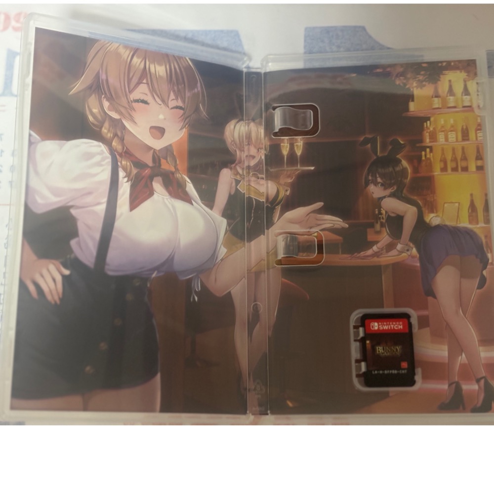 兔兔秘密花園 switch 遊戲 有中文-細節圖2