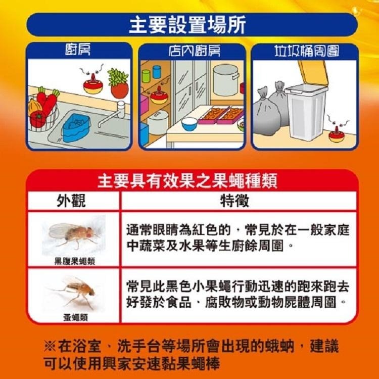 興家安速 果蠅餌劑38g+補充包(3回份)-細節圖4