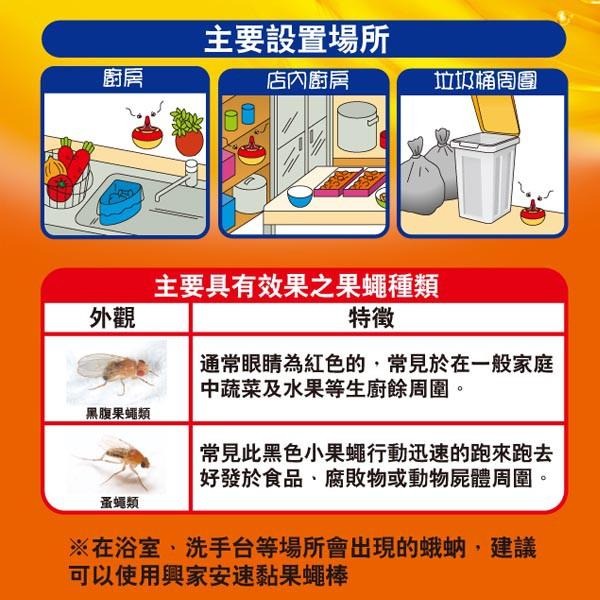 興家安速果蠅餌劑38g 環藥販賣字號19-093號 果蠅-細節圖3