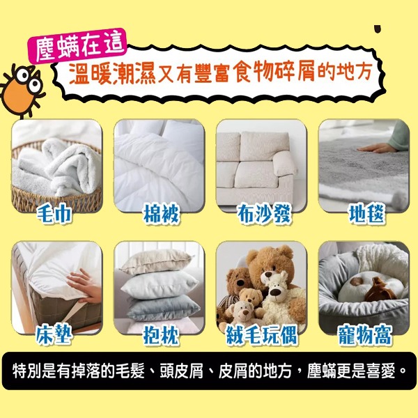 興家安速 黏蟎滿塵蟎黏捕片3枚入-細節圖5